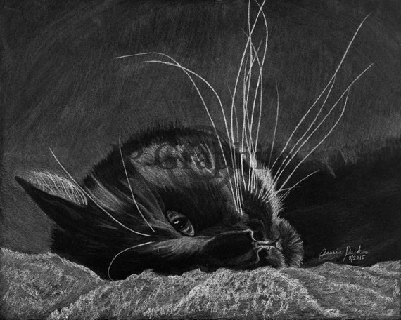 Black and white cat pencil drawing giclee print signed by