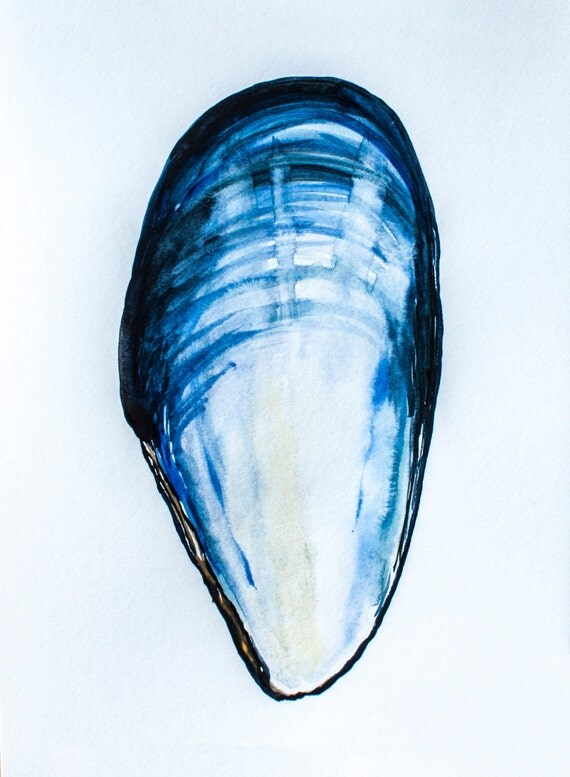 Open Mussel Shell Original Watercolor by SouthShoreStudioMA