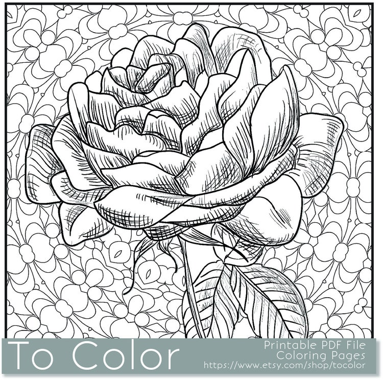 Download Printable Rose Coloring Page for Adults PDF JPG Instant by ...