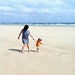 jolene tattersall
