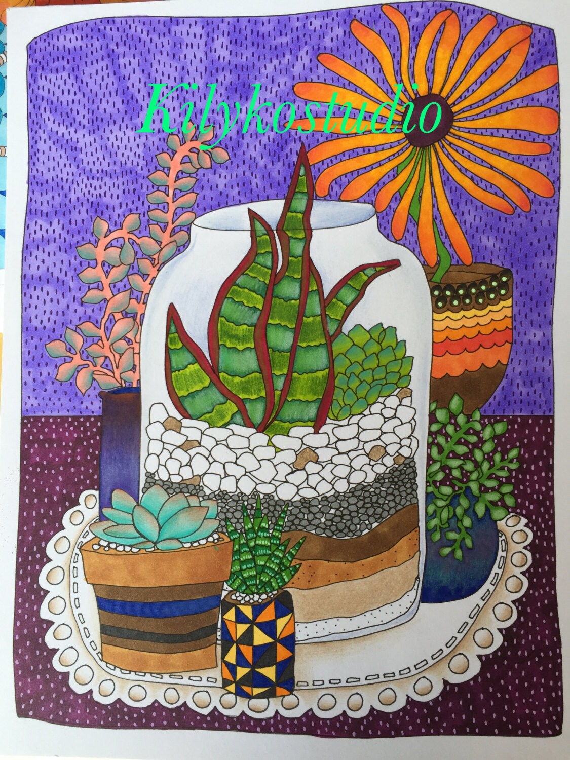 succulent terrarium coloring page instant digital download diy