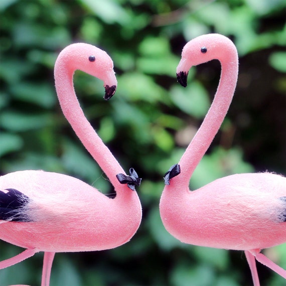 flamingo gay sex toy