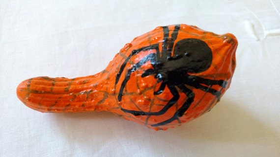 Along Came A Spider Dried Squash Decoration