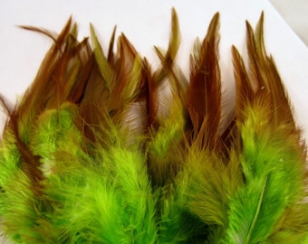 40 assorted lime green feathers loose saddle half bronze Dyed 3 to 6 inches K76