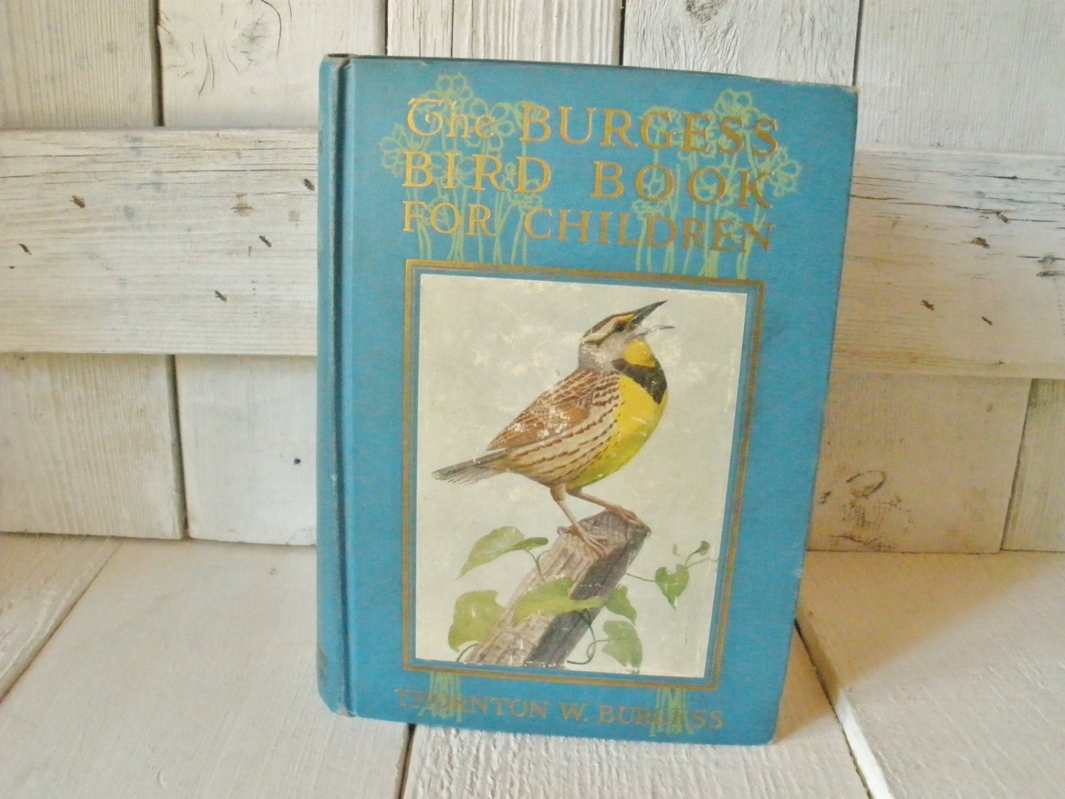 Vintage Burgess Bird Book for Children hard cover illustrated