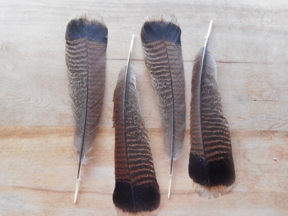 primitive feathers