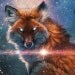 foxyfox18