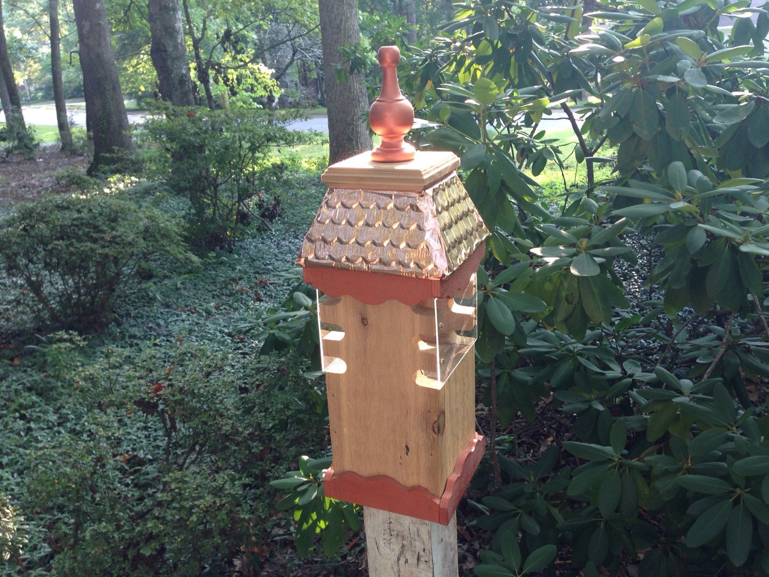 Woodpecker bird feeder woodworking plan