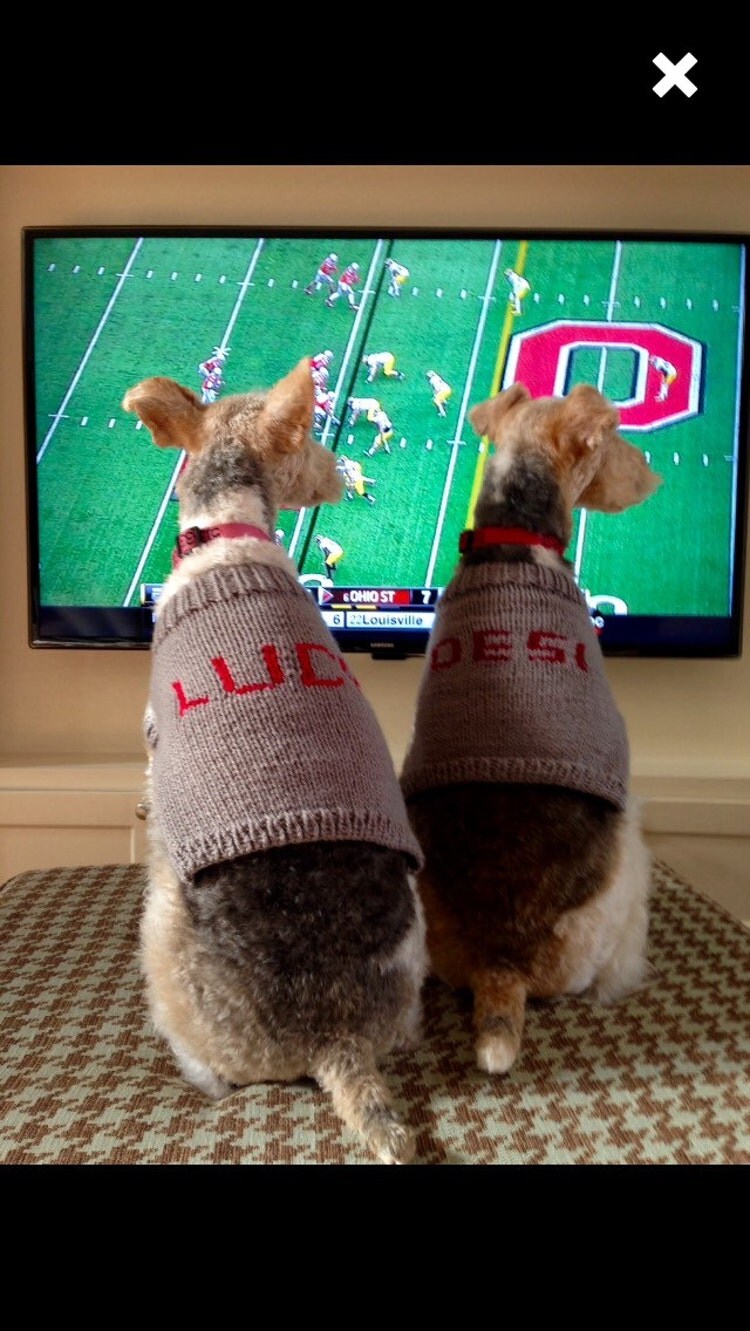 Dog Sweater with Pet's name on it by DogSweatersbyMaggs on Etsy