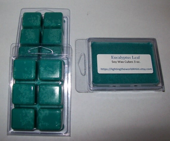eucalyptus wax cubes