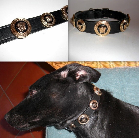 Versace gold Medusa Head Studded Designer dog collar. Medium