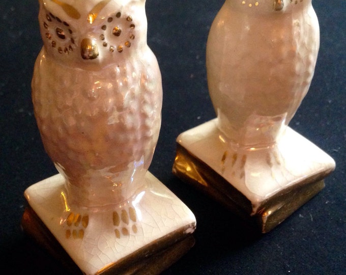 Storewide 25% Off SALE Vintage Mid Century Collectable Porcelain Standing Wise Olde Owl Matching Salt & Pepper Shakers Featuring Glaze Paint
