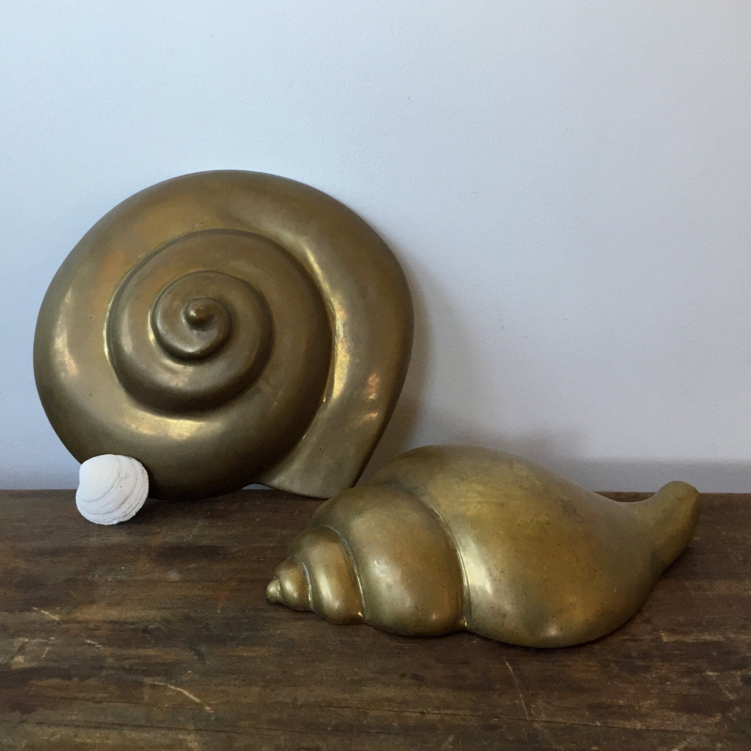 Vintage Large Brass Sea Shells Brass Wall Hanging Shell