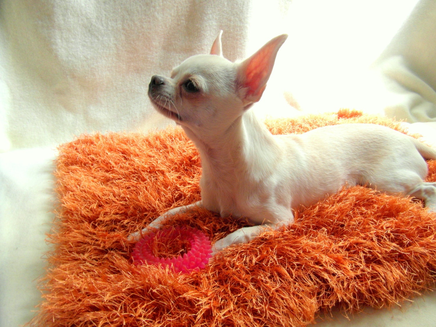 Pet Blanket Chihuahua Blanket Dog Bedding Soft Furry Dog