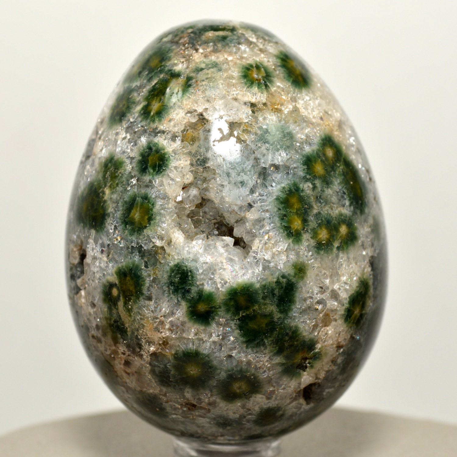 60mm Rare Ocean Jasper Egg Natural Druzy Green Orbicular by HQRP