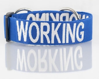 Color Coded Blue Working Semi Choke L-XL Dog Collar (Do Not Disturb) Personalised message Prevents Accidents By Warning Others In Advance