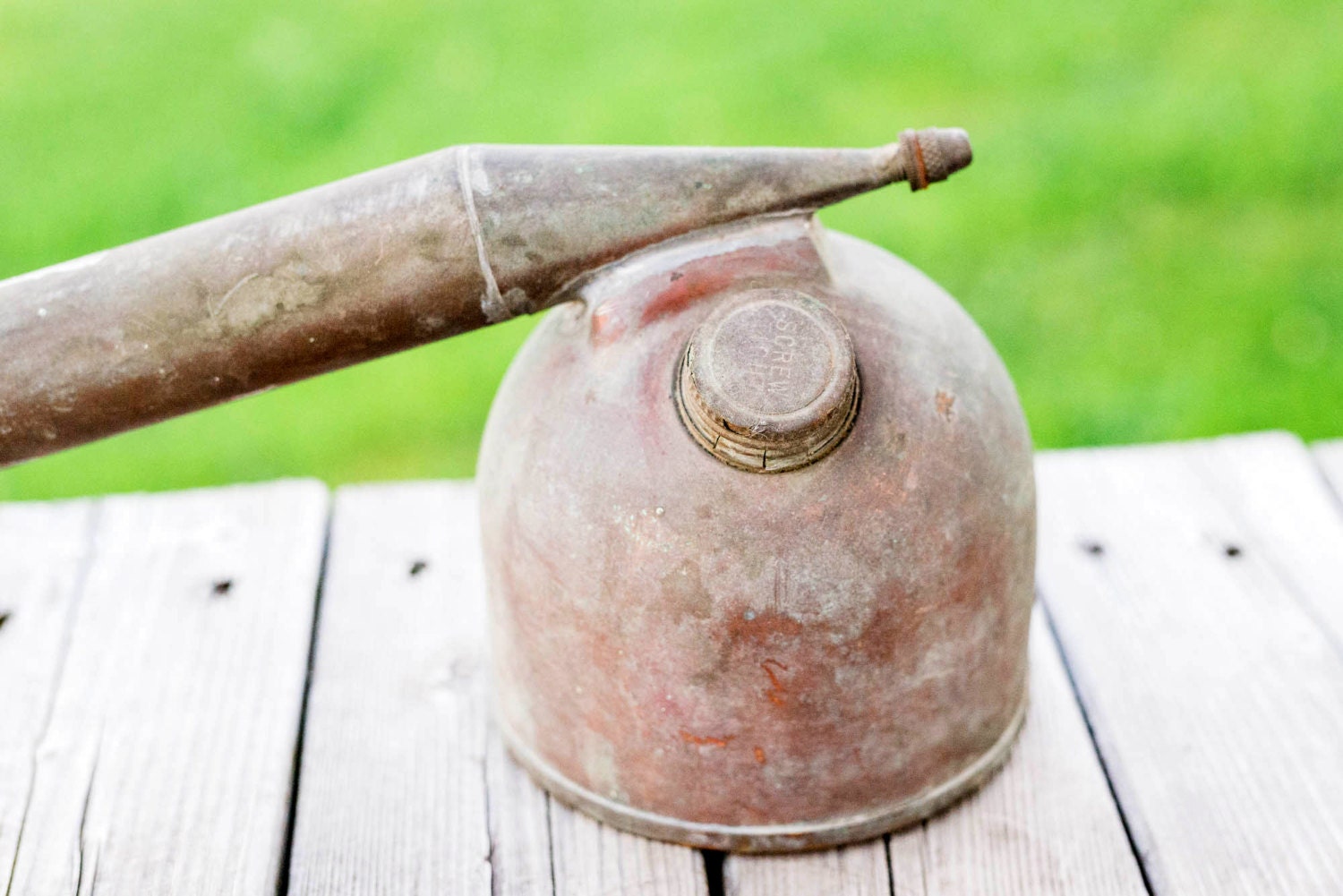 Antique Vintage Brass Copper Hand Pump Bug Plant Sprayer