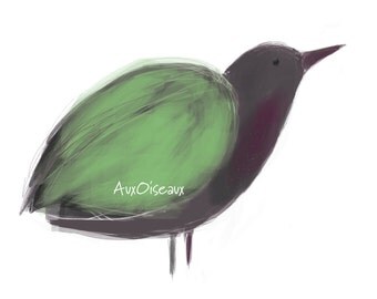Oiseau vert, mauve, gris, dessin numérique original, impression de qualité, type giclée. Cadre non-inclus.