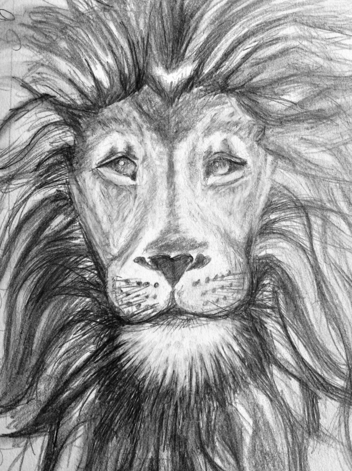 Lion Pencil Drawing/ Charcoal/ Prints/ Animal by VineyardArtShop