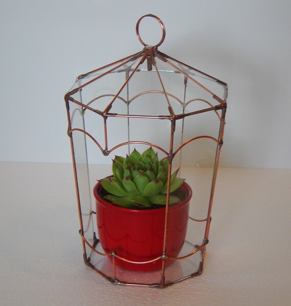 Terrarium /octagon planter /home decor / handmade by satisherba