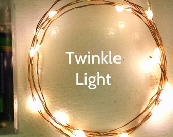 Firefly Lights: 20 Warm White Twinkle Lights on 6-ft copper or silver wire. Great twinkling fairy light effect as LEDs flash independently.
