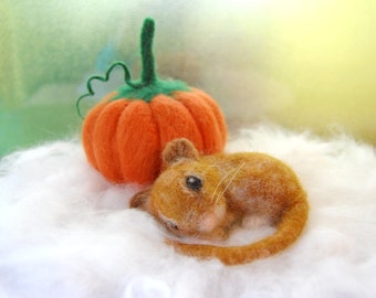 Needle Felted Mouse With Felted Pumpkin. Autumn Harvest Decor. Felt Mouse. Autumn Decor. Autumn Decorations. Fall Decorations. Felt Pumpkins
