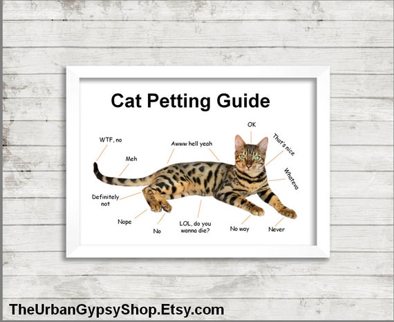 items-similar-to-cat-petting-guide-digital-download-on-etsy