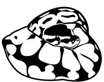 Unique ball python related items | Etsy