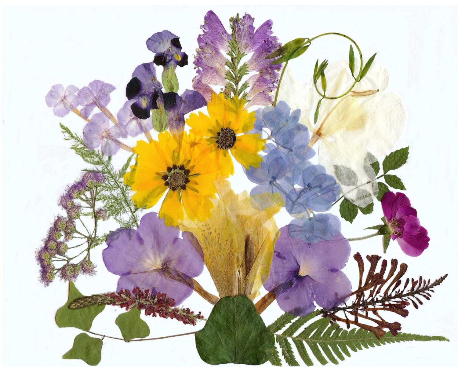 Pressed flower art / Garden bouquet / Art print 8 X 10