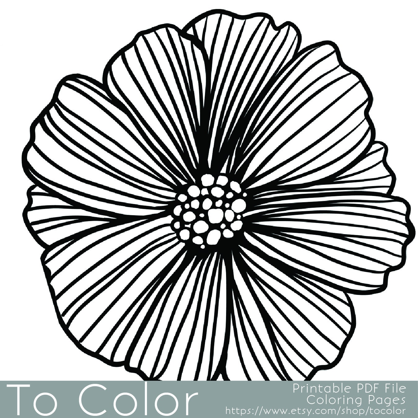 Printable Flower Coloring Page for Adults PDF / JPG Instant