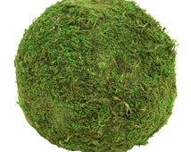 Popular items for green moss ball on Etsy