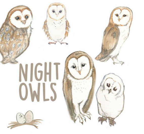 clipart night owl - photo #46