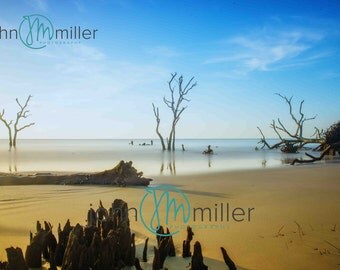 Hunting Island, South Carolina, Fine Art Print, Photography