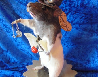 steampunk taxidermy love rat. Free shipping
