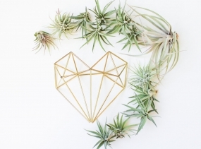 Himmeli fig. 10 - The Heart | Brass Himmeli, Modern Minimalist Geometric Ornament, and Air Plant Holder