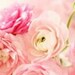 christinecrawford66