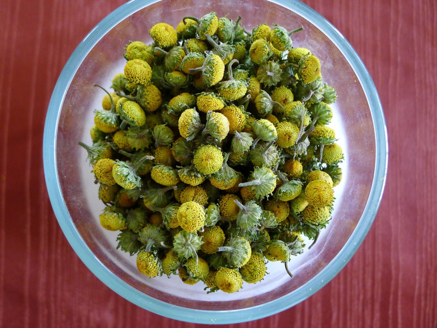 SUMMER'S END SPECIAL Buzz Buttons Szechuan by TheElectricGumdrop