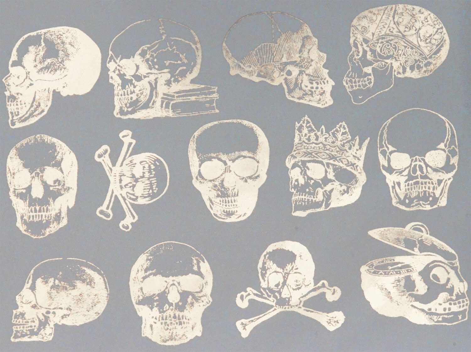 Vintage Skull Decals Glass Fusing Decals Waterslide Decals