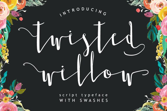 Twisted Willow Type font - Script typeface with swashes and stylistic alternates