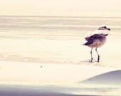 Large Photography Print - Beach photo - Seagull photograph - Nautical Photography - Bird decor - Minimalist Art