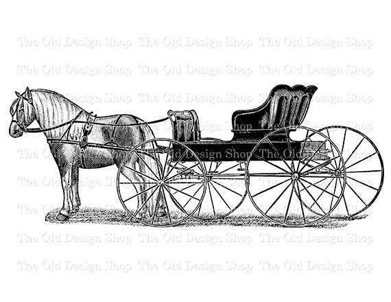 horse and buggy clipart - photo #8