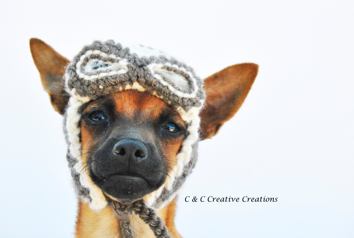 Aviator Dog Hat Pet Hat Cat Hat Dog by CCCreativeCreations