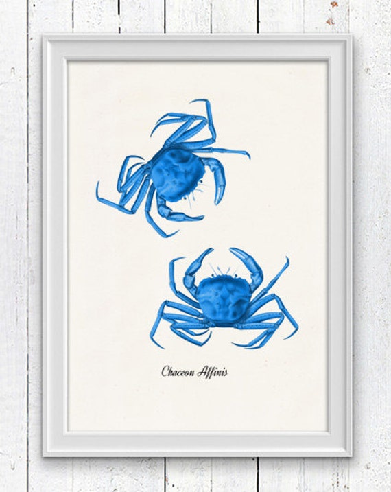 Blue Crabs sea life print Bathroom Wall decor vintage