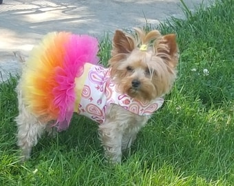 Dog dress Yellow Birthday and Balloons by ChicDoggieBoutique