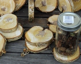 YELLOW BIRCH Wood Slices, 4" - 4.5" Diameter by .5 - .75" Thick, Wood Cookies, Round Wood, Craft Supply, Rustic Wedding Decor
