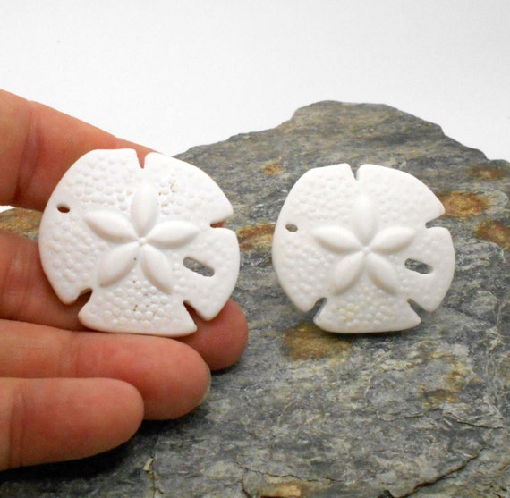 Knobs Stone Knobs Knobs White Glass Sand Dollar