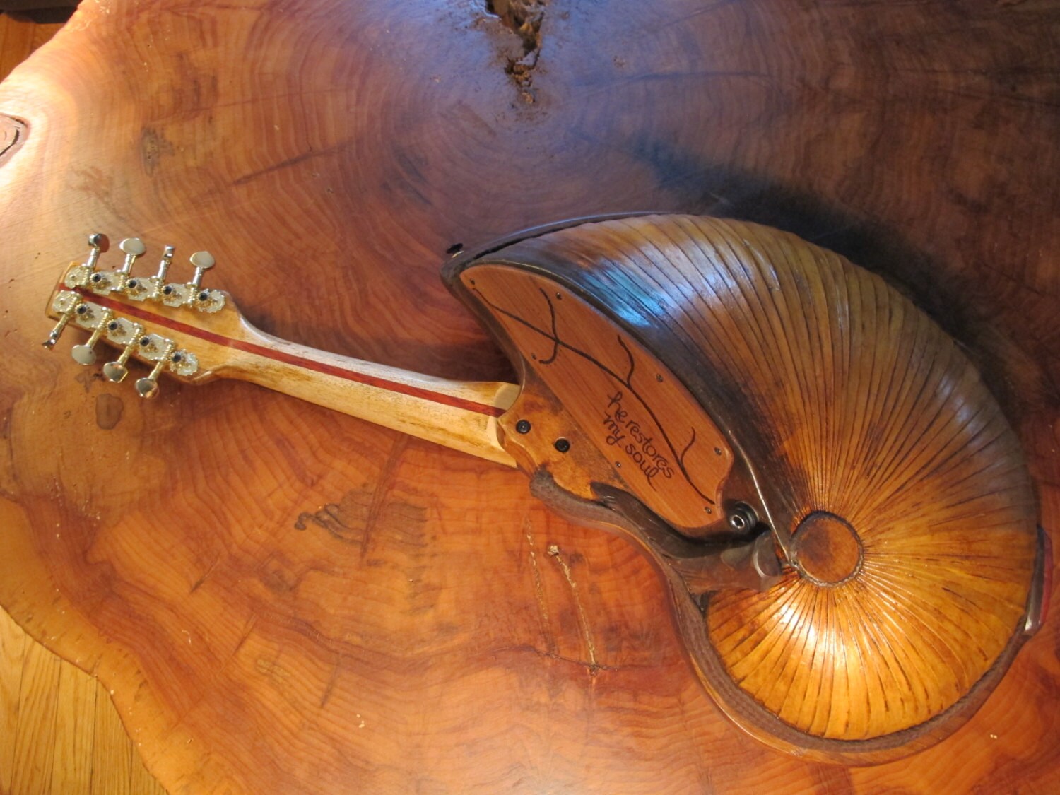 Fibonacci shaped Mandolin. Acoustic musical instrument. with