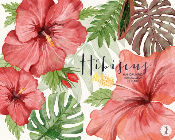 Download Watercolor hibiscus flower tropical leaves jungle plants