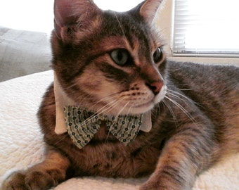 Fancy white cat collar with black and white bow tie