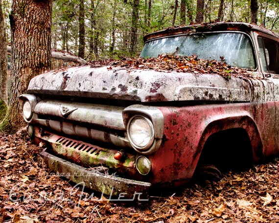 Items similar to 1957 Ford Truck in Trees Photograph on Etsy